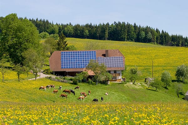 Zeoluff Farms & Agriculture Solar System